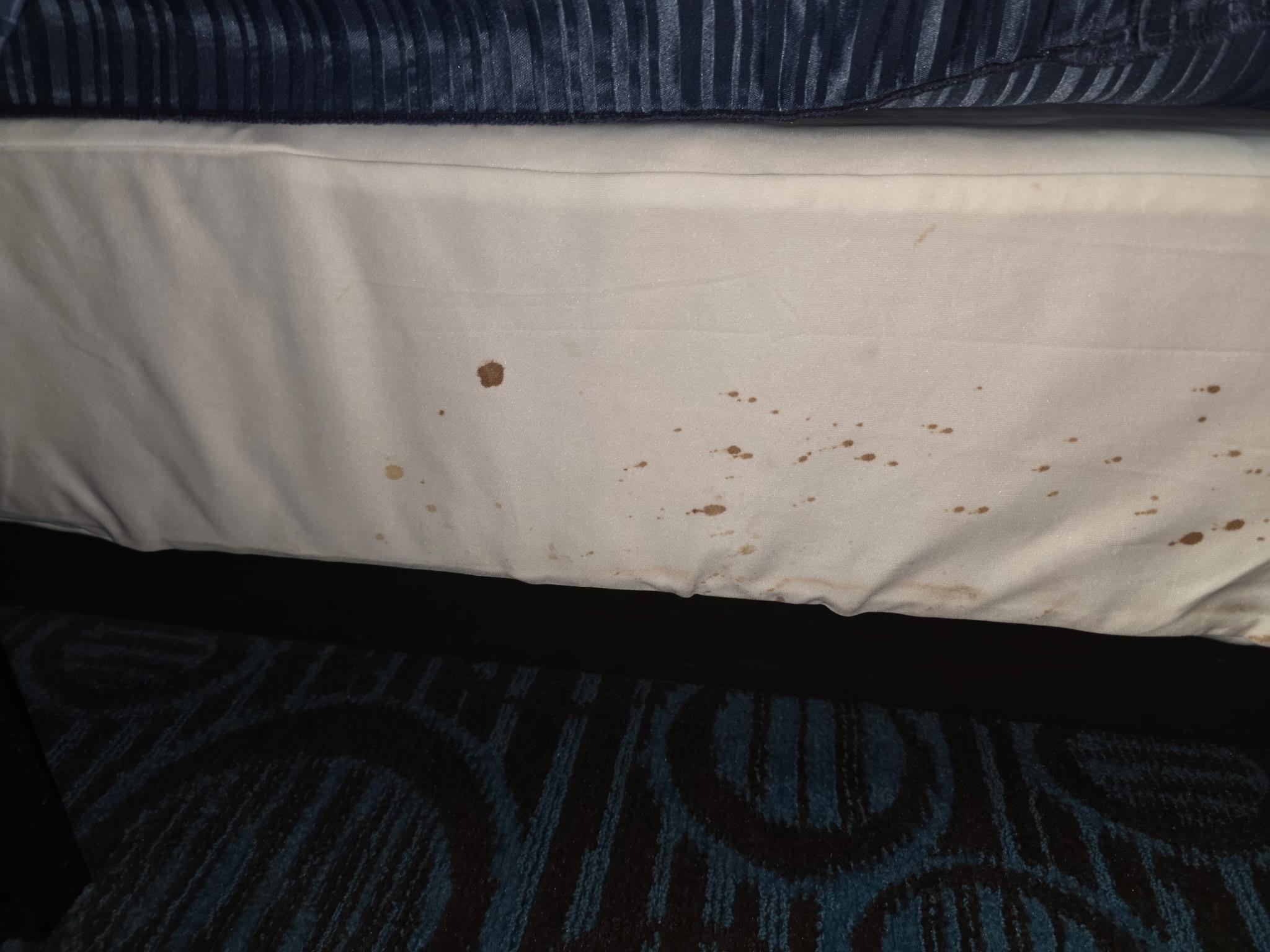 The blood on the box spring.