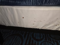 The blood on the box spring.