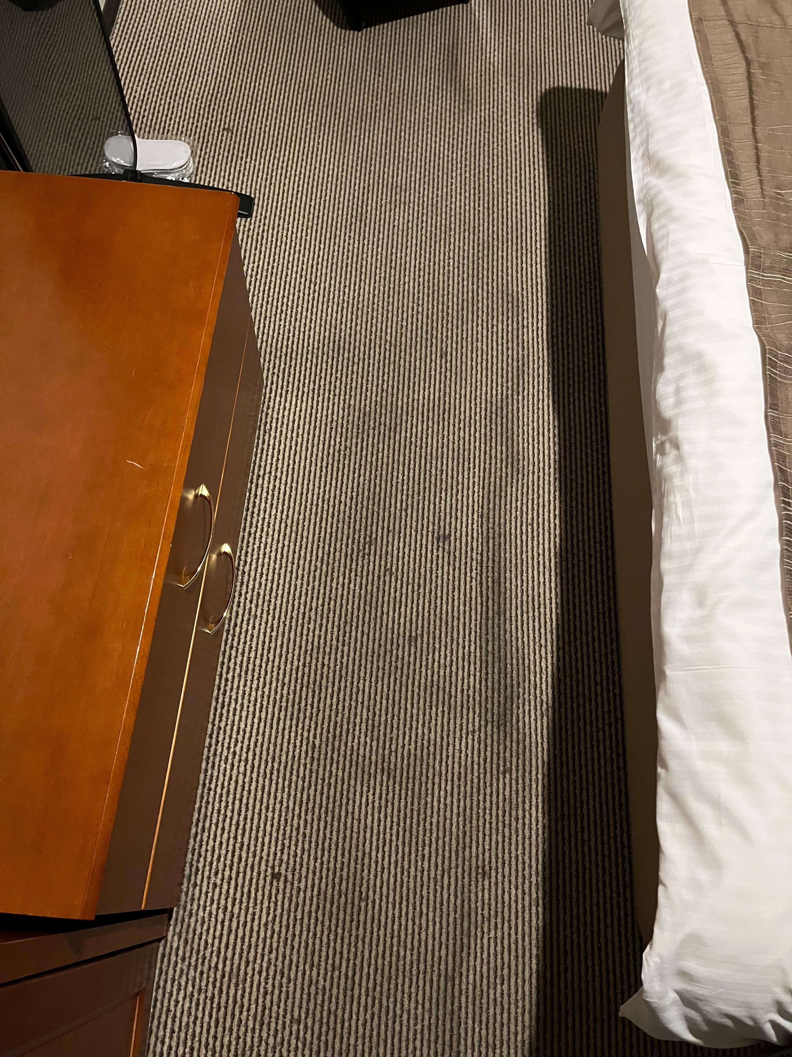 Also carpet was loose. 