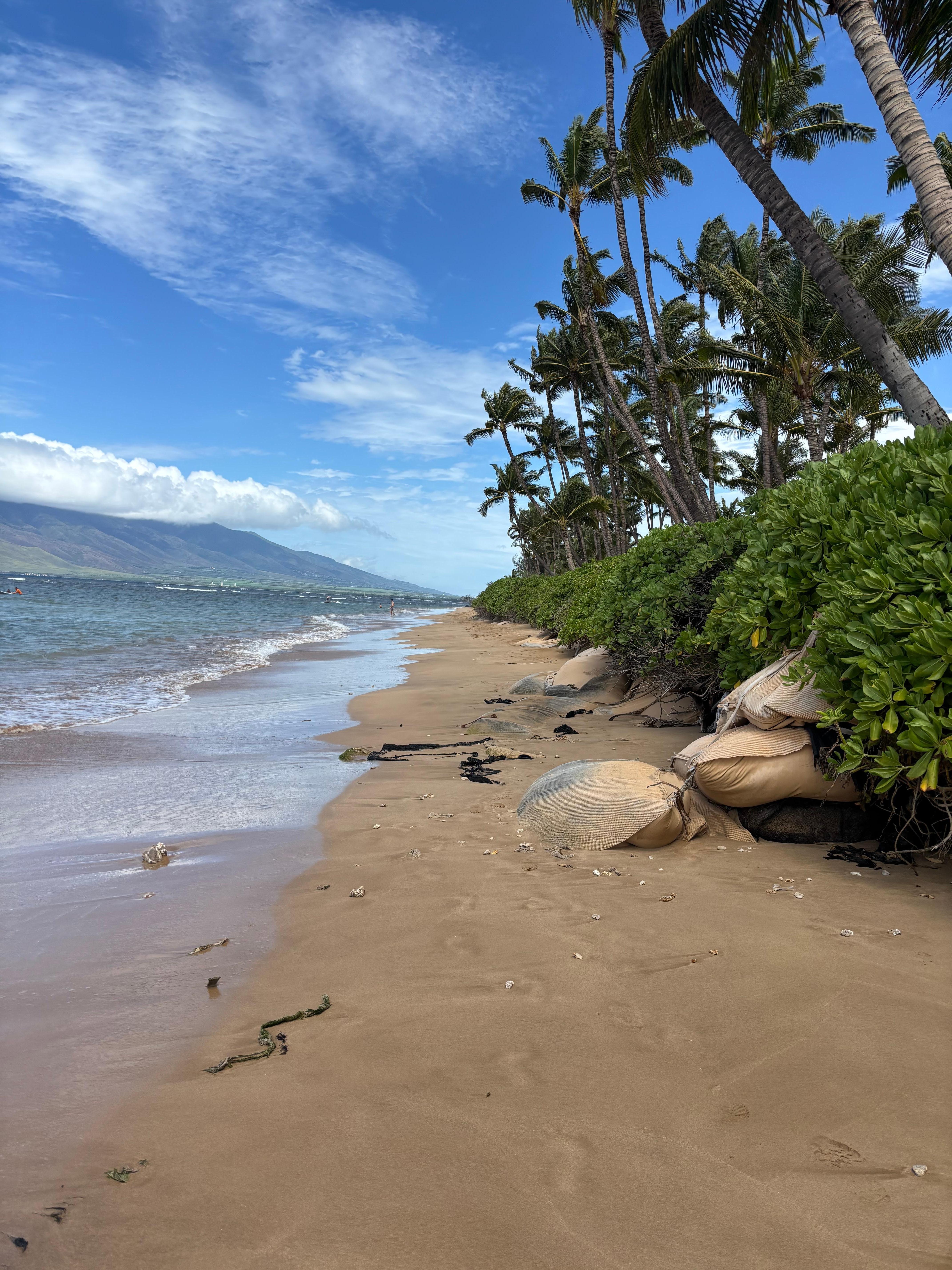 Most beautiful walks on the beach. 