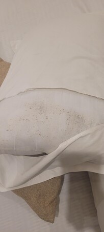 Black mold on pillow