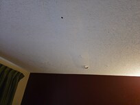 Ceiling in main space of room. Close to bed.