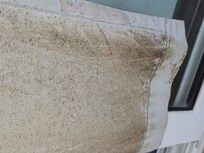 Extreme mold / mildew