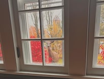 A deer walking by the house peeked in during our morning coffee! ❤️