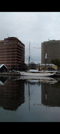 Harbour reflections.