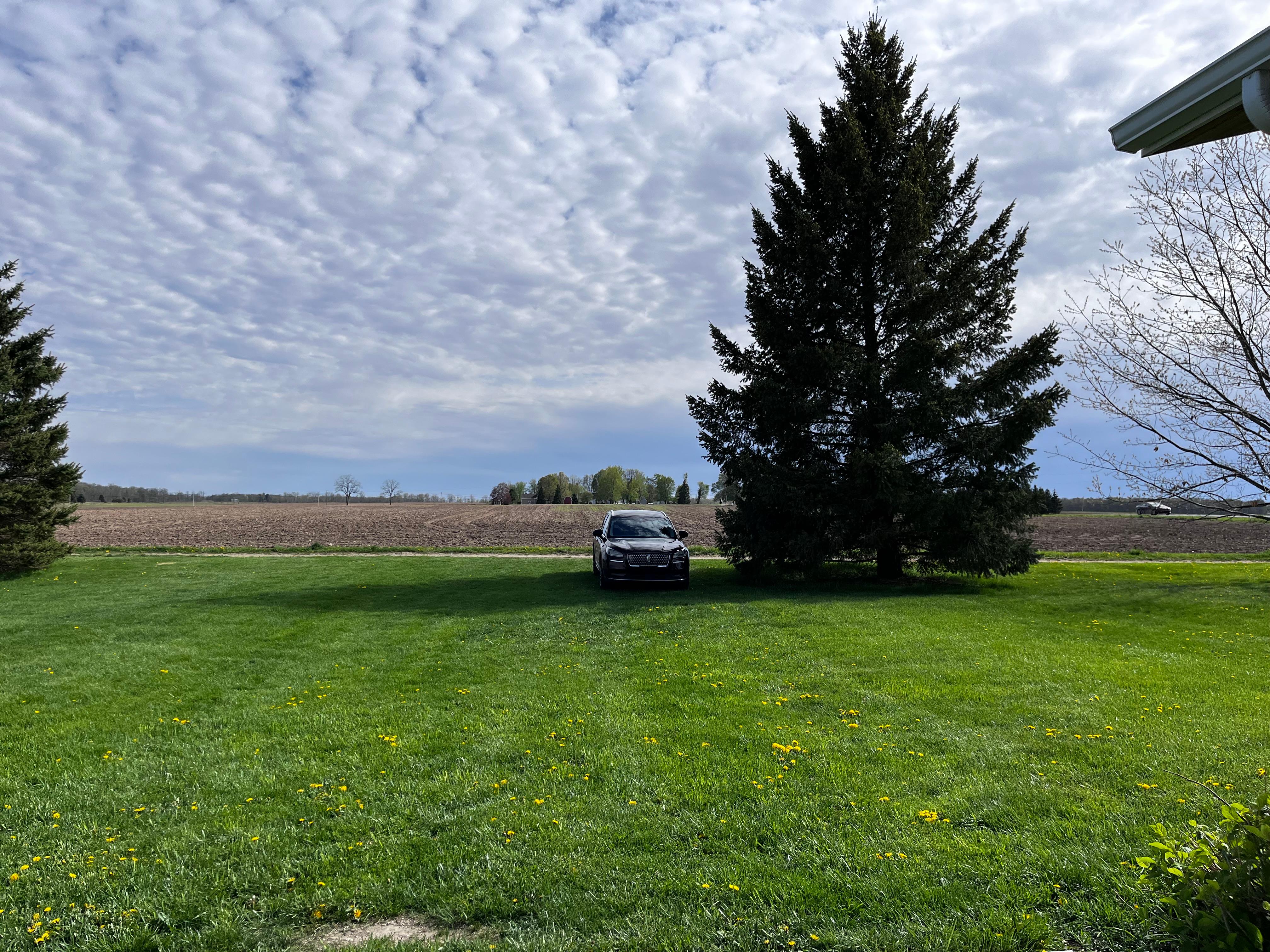 Yes you park on the grass even if it is nicer than the grass in your own yard. 