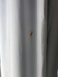 just one example of how filthy the room was…