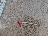 Trash around the pool