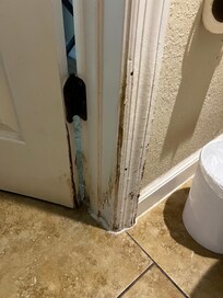 Bathroom door