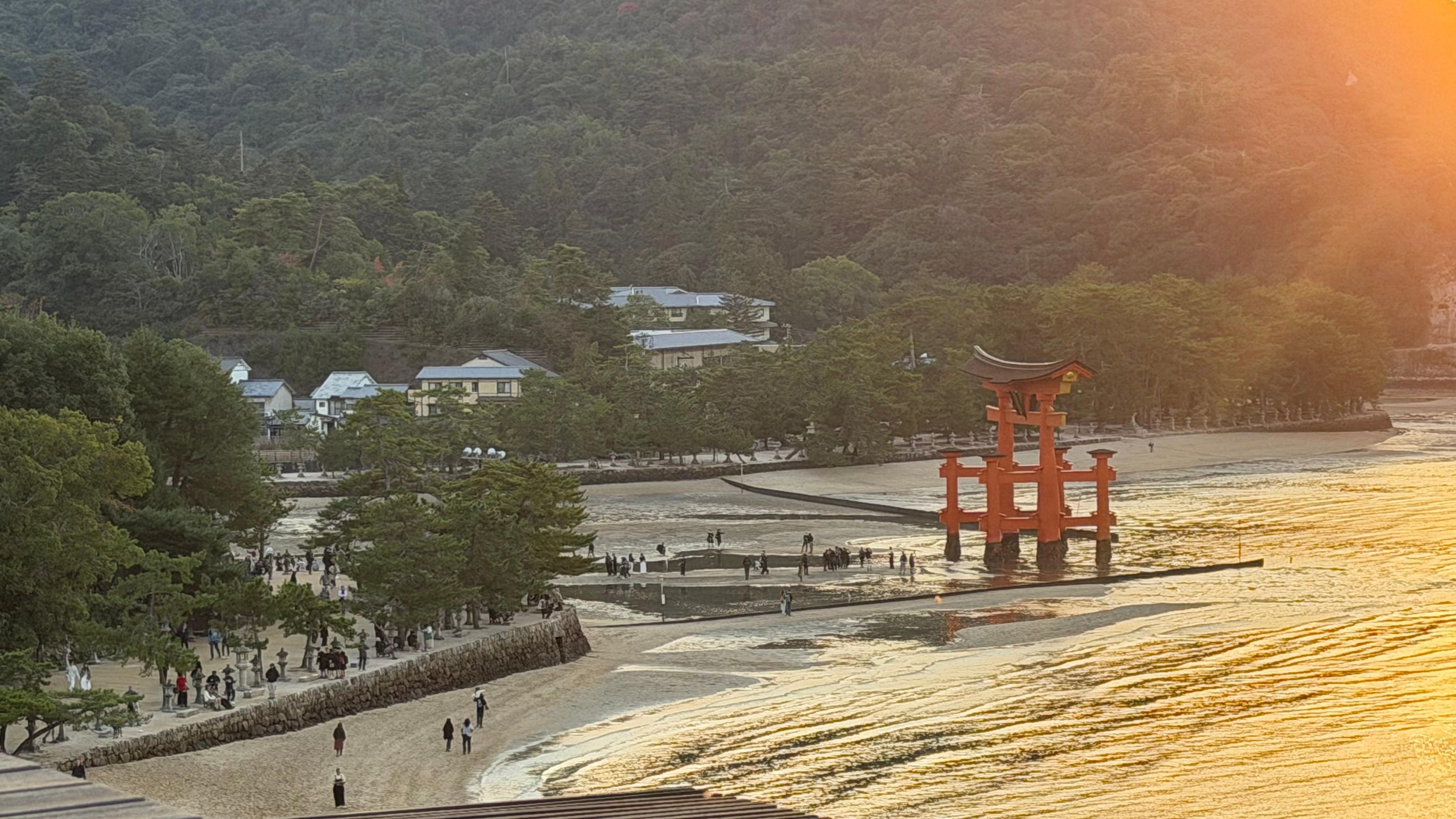 Floating Tori gate from the rooftop.