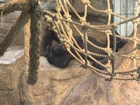 Zoo