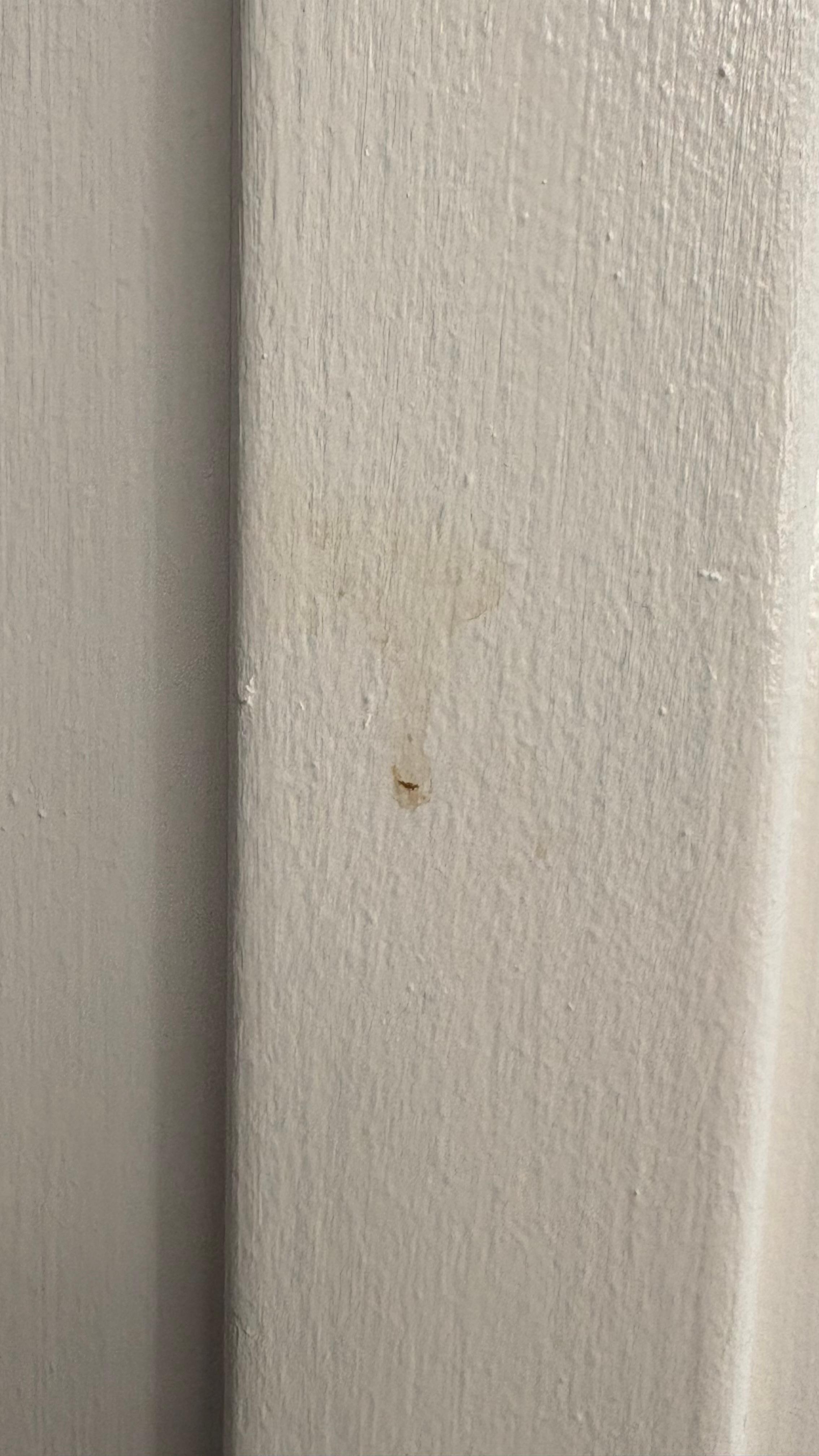 Gross brown smudges and drip marks on doors, doors, door handles, and walls