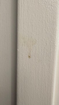 Gross brown smudges and drip marks on doors, doors, door handles, and walls