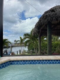 View from the back yard