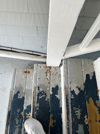 Piles of bird poop on your way to your room makes you question overall cleanliness