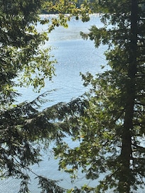 View from the back deck