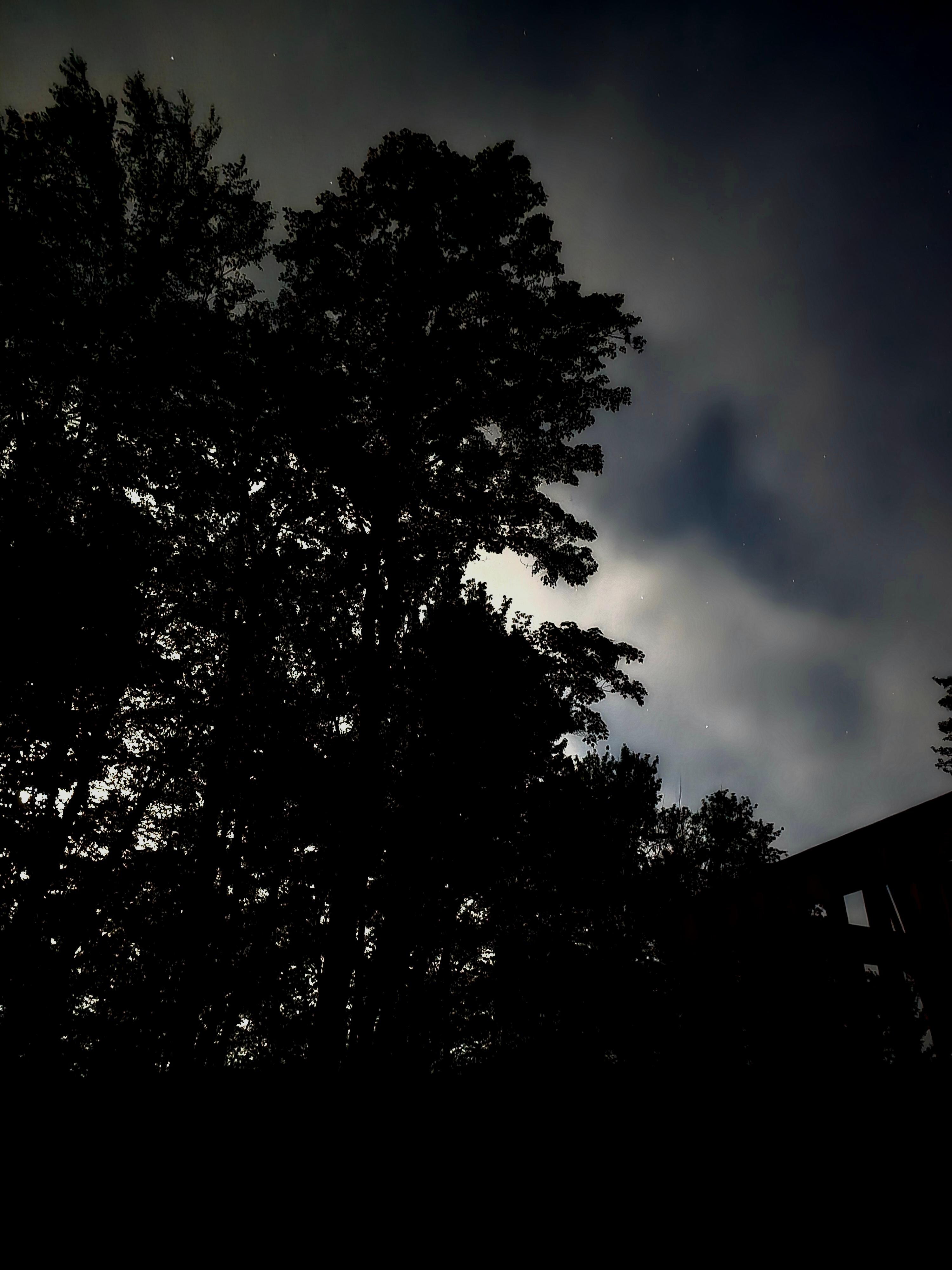 While the moon and clouds affected stargazing, they were still lovely.