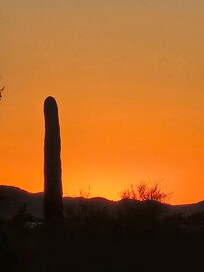 One of many beautiful sunsets from the house.