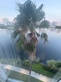I love palm trees and the water. This was my view.