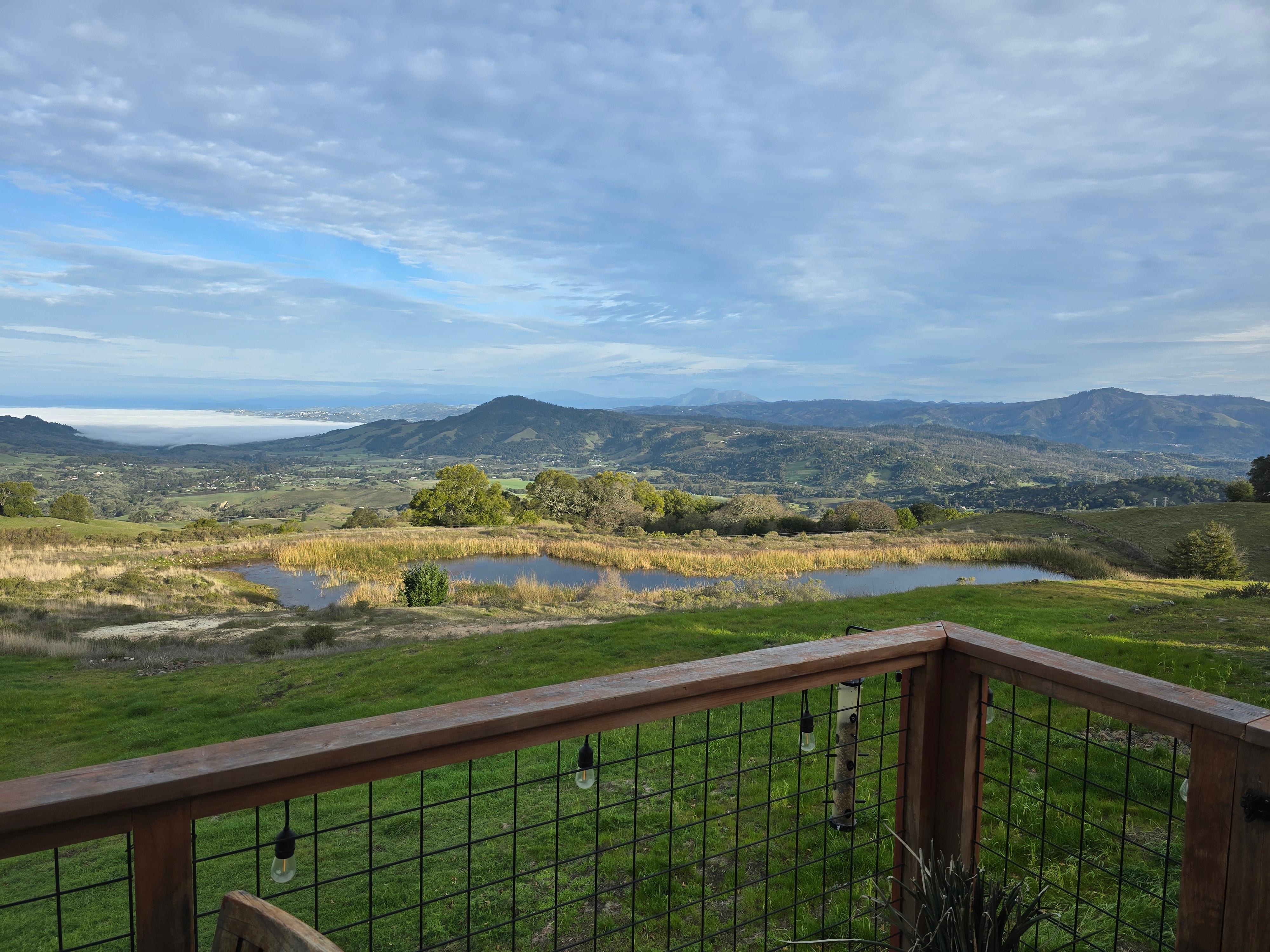 From the back balcony. 