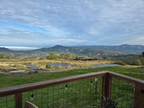 From the back balcony.