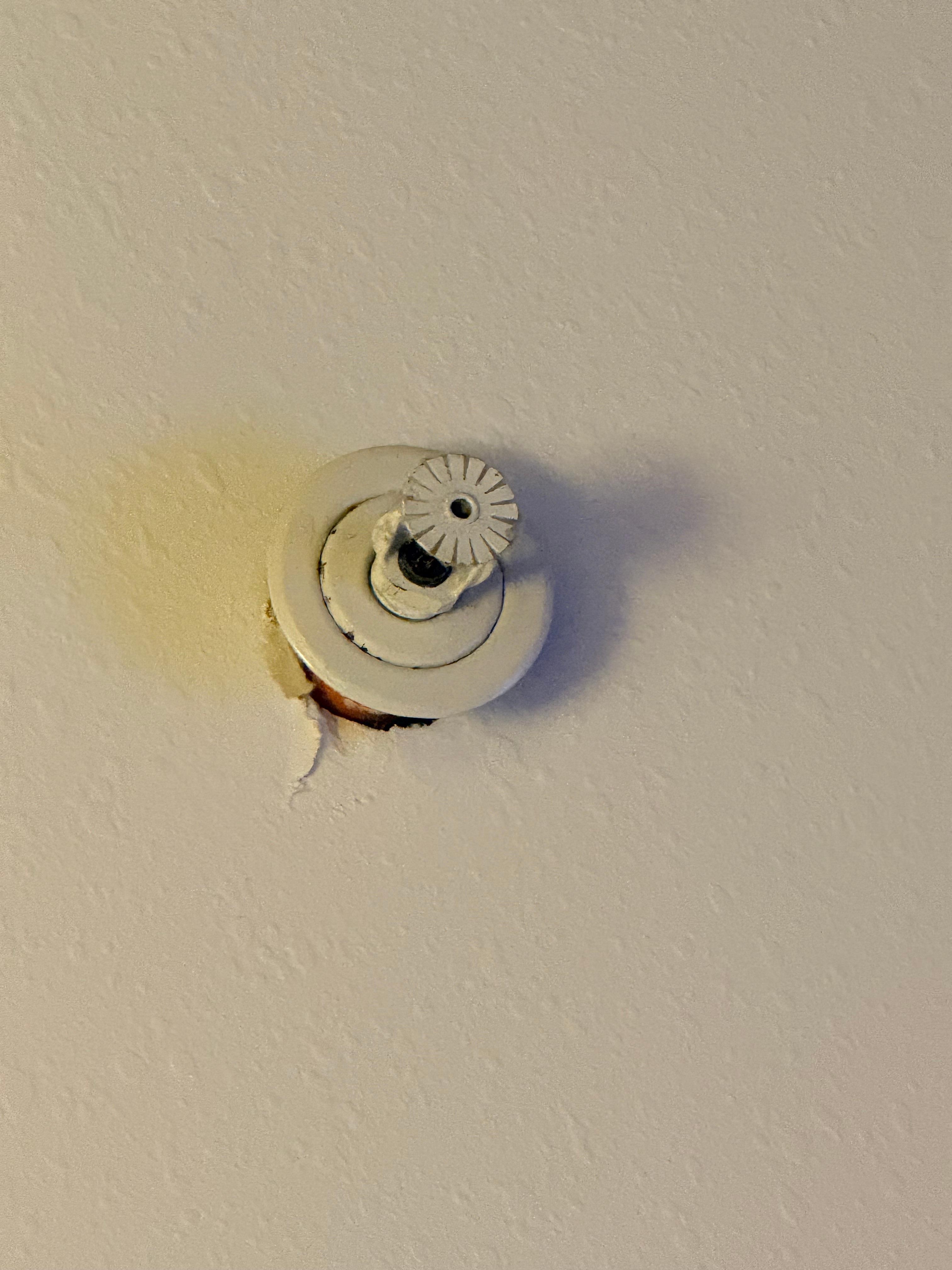 Sprinkler in the ceiling was loose looked like it was gonna fall at any moment.