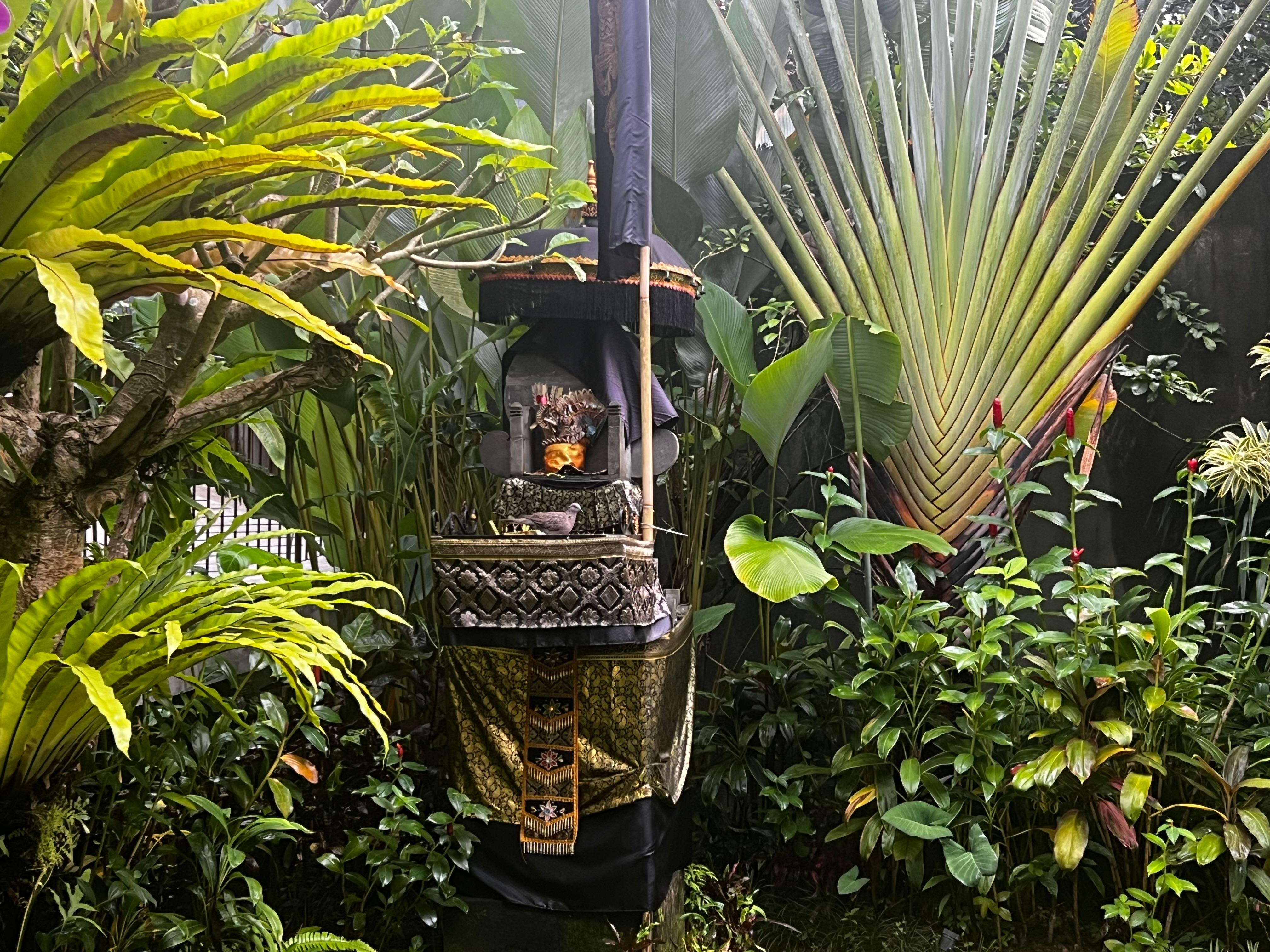 The garden promenade 