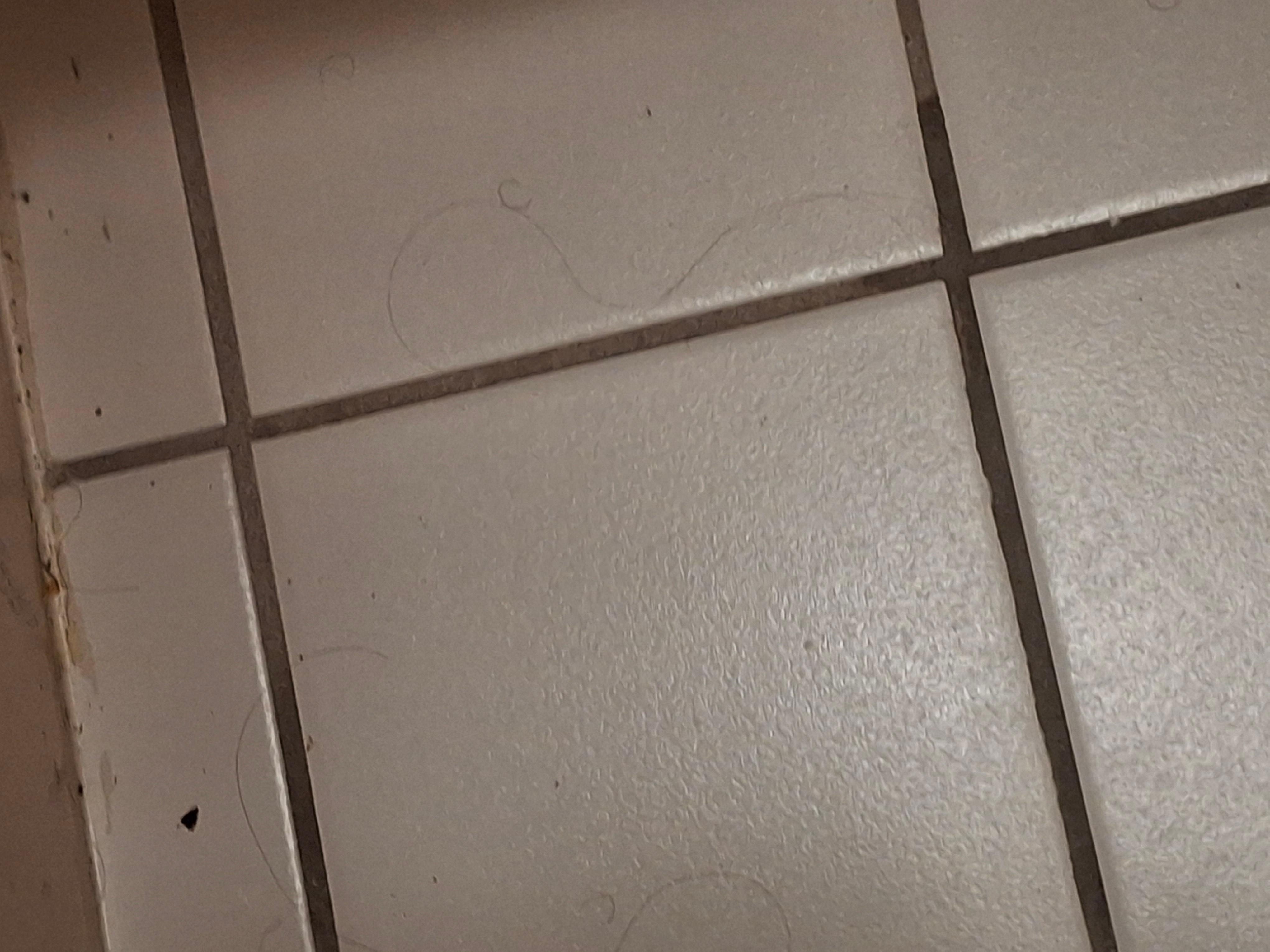 Long hairs on the floor