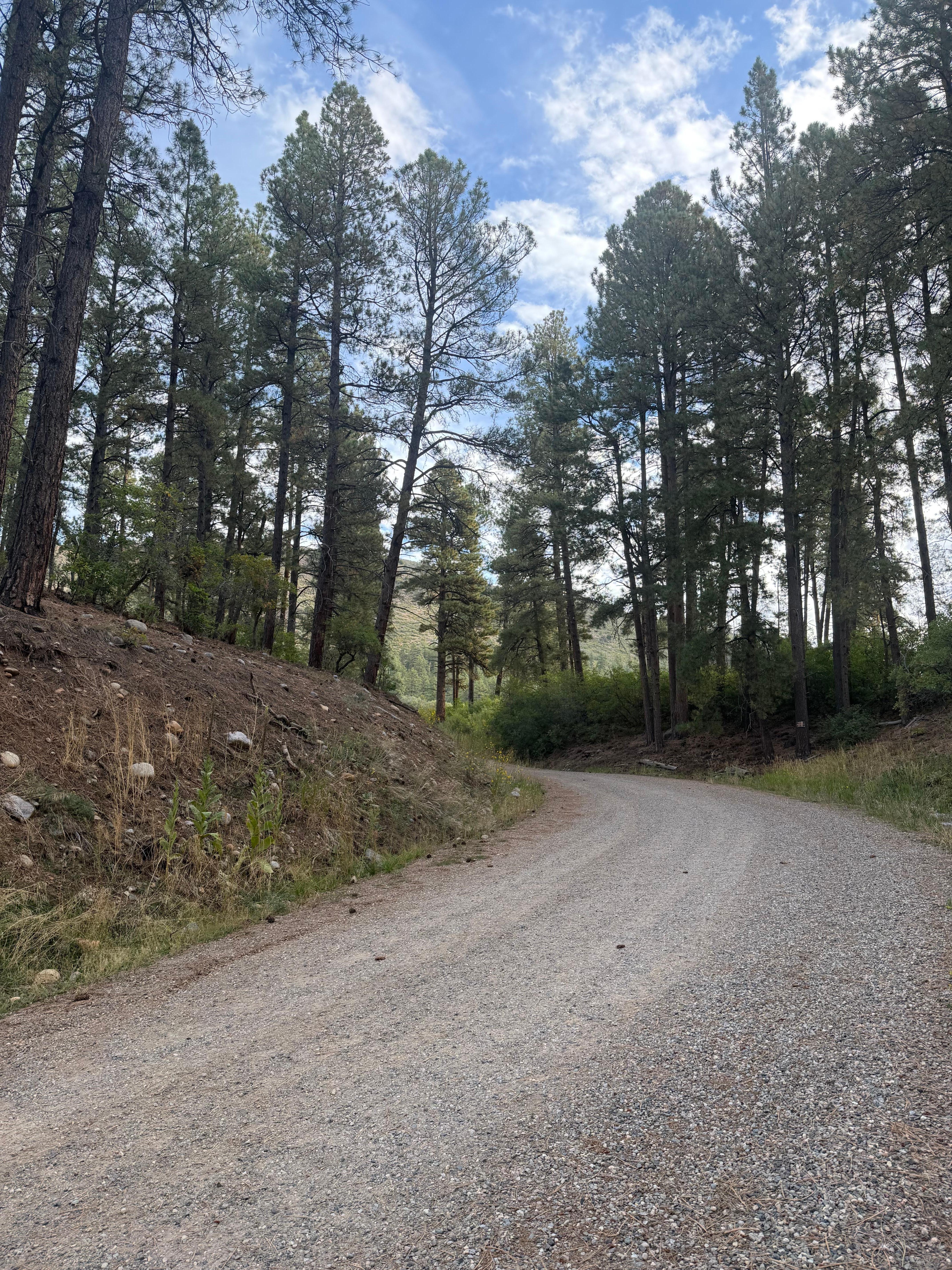 Driveway to property