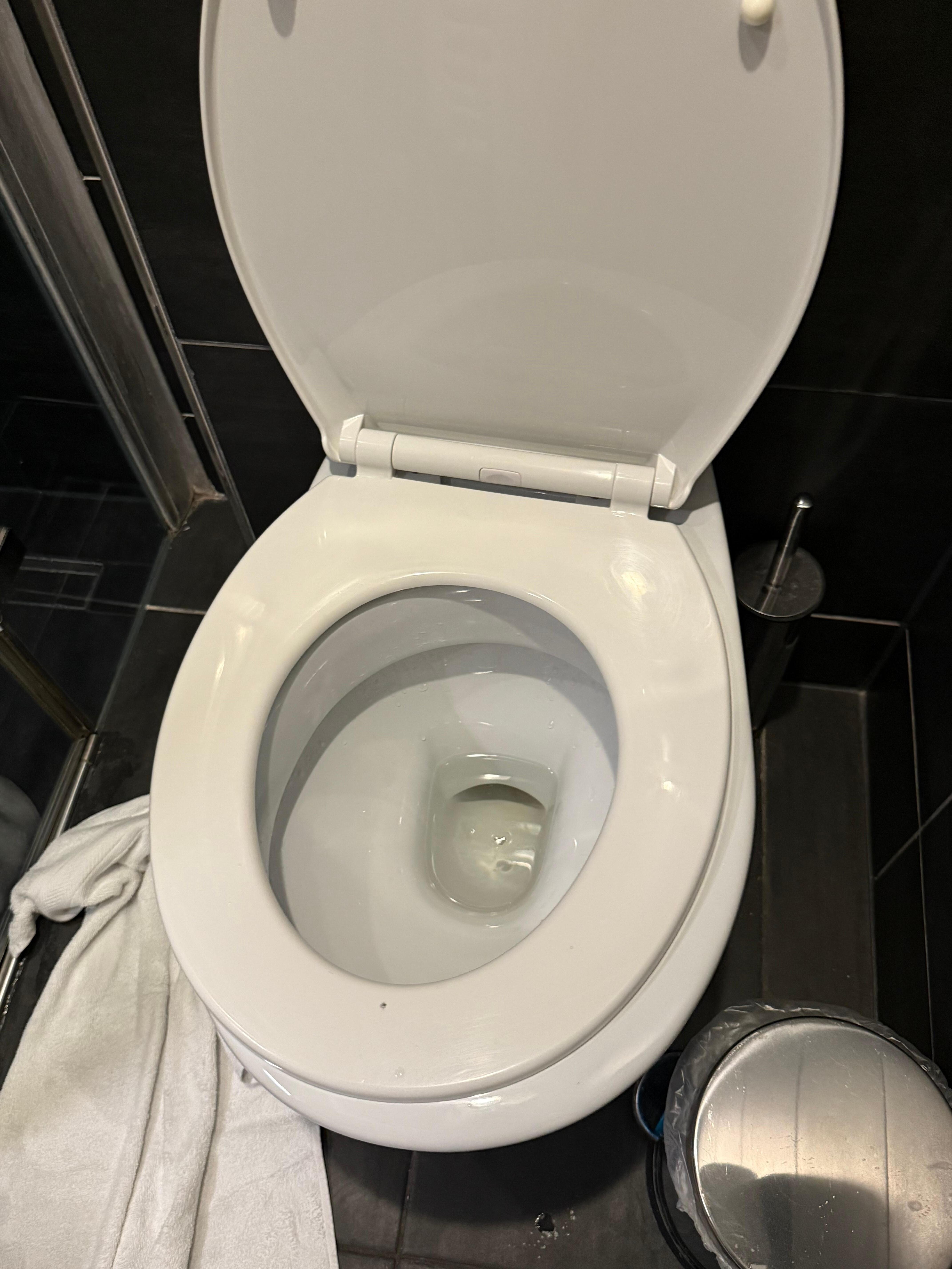 Toilet seat lose and moving 