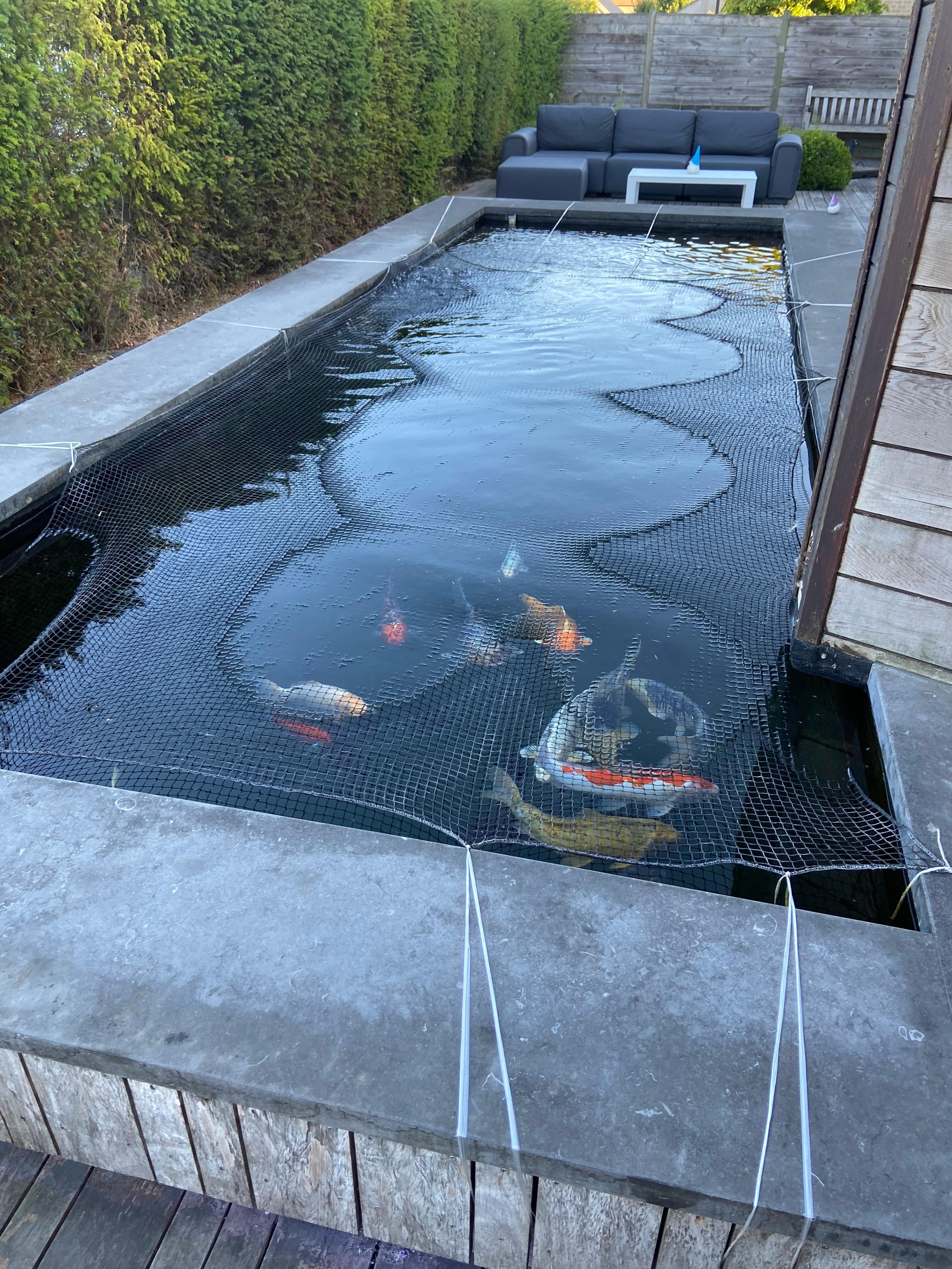 La piscine 👍
