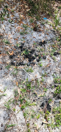 Old leftover charcoal dumped under the property sitting area