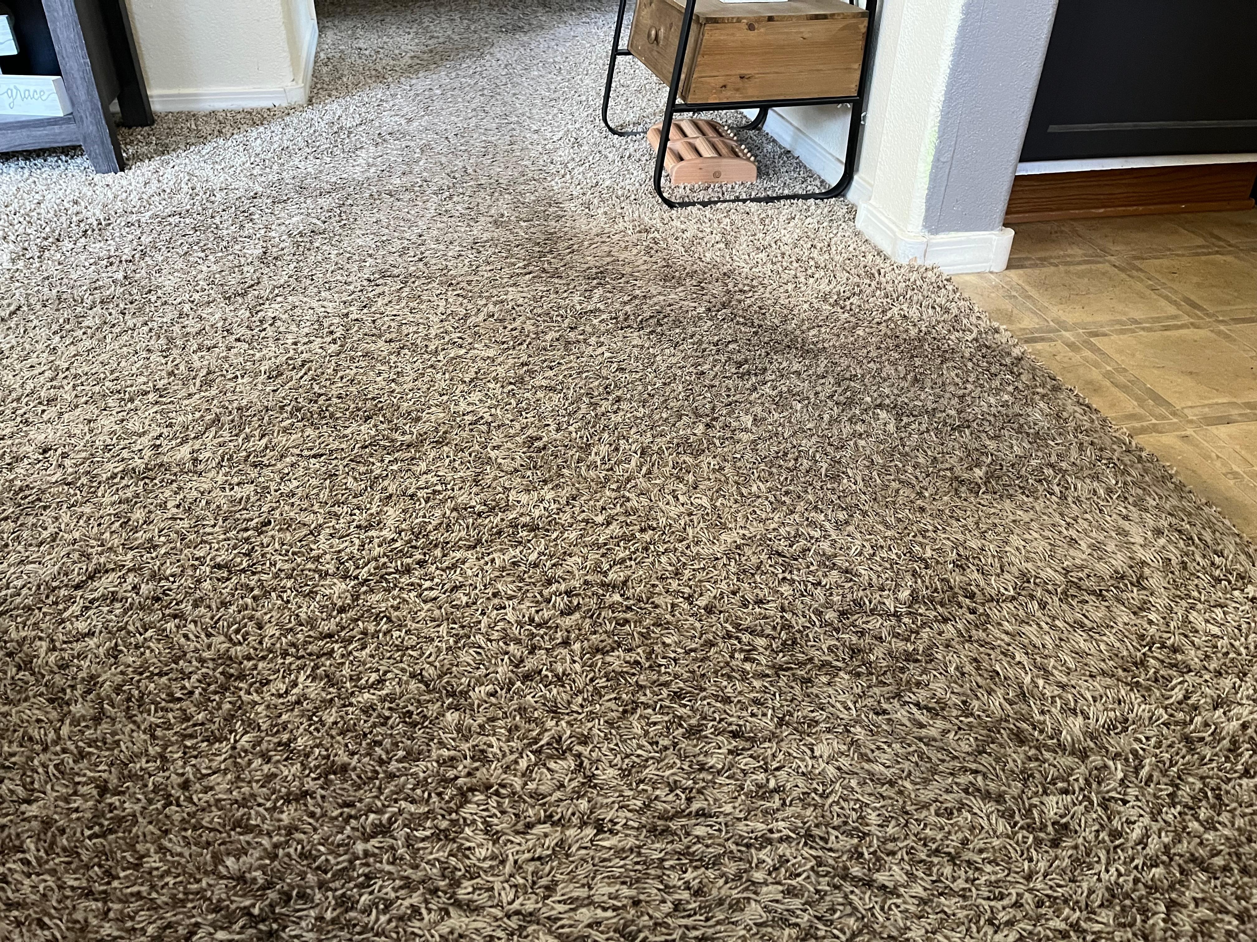 Dirty carpet - needs replacing or steam cleaning