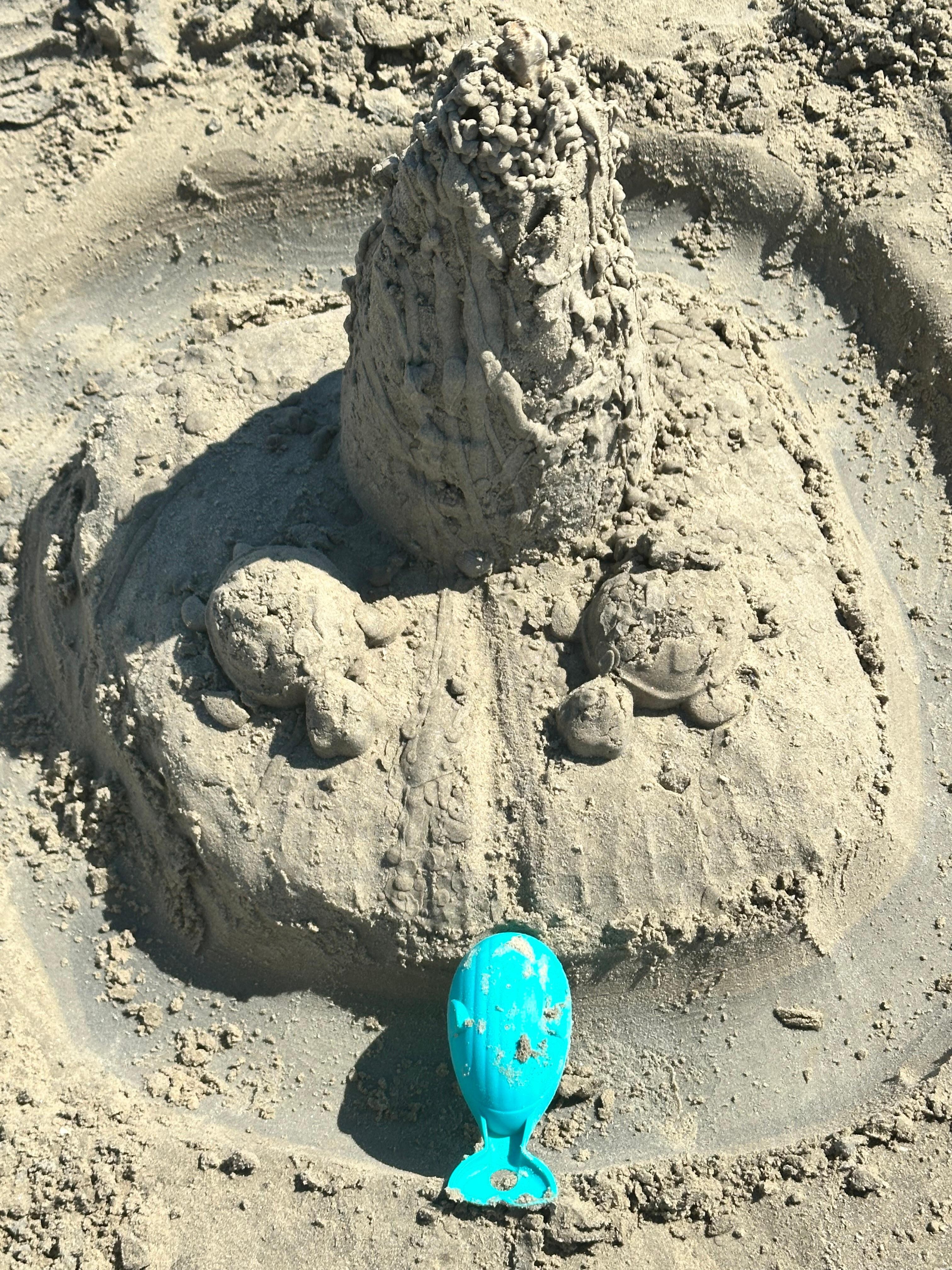 Fun at the beach!