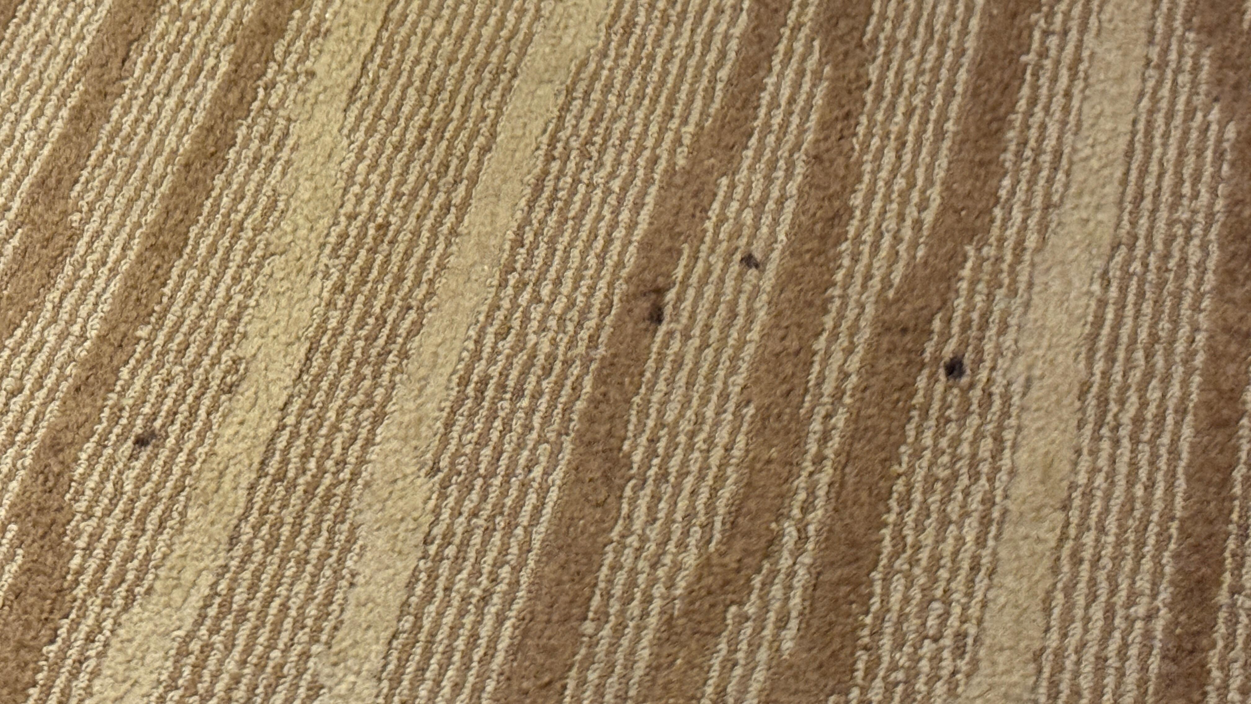 Drops all over carpet resembling blood