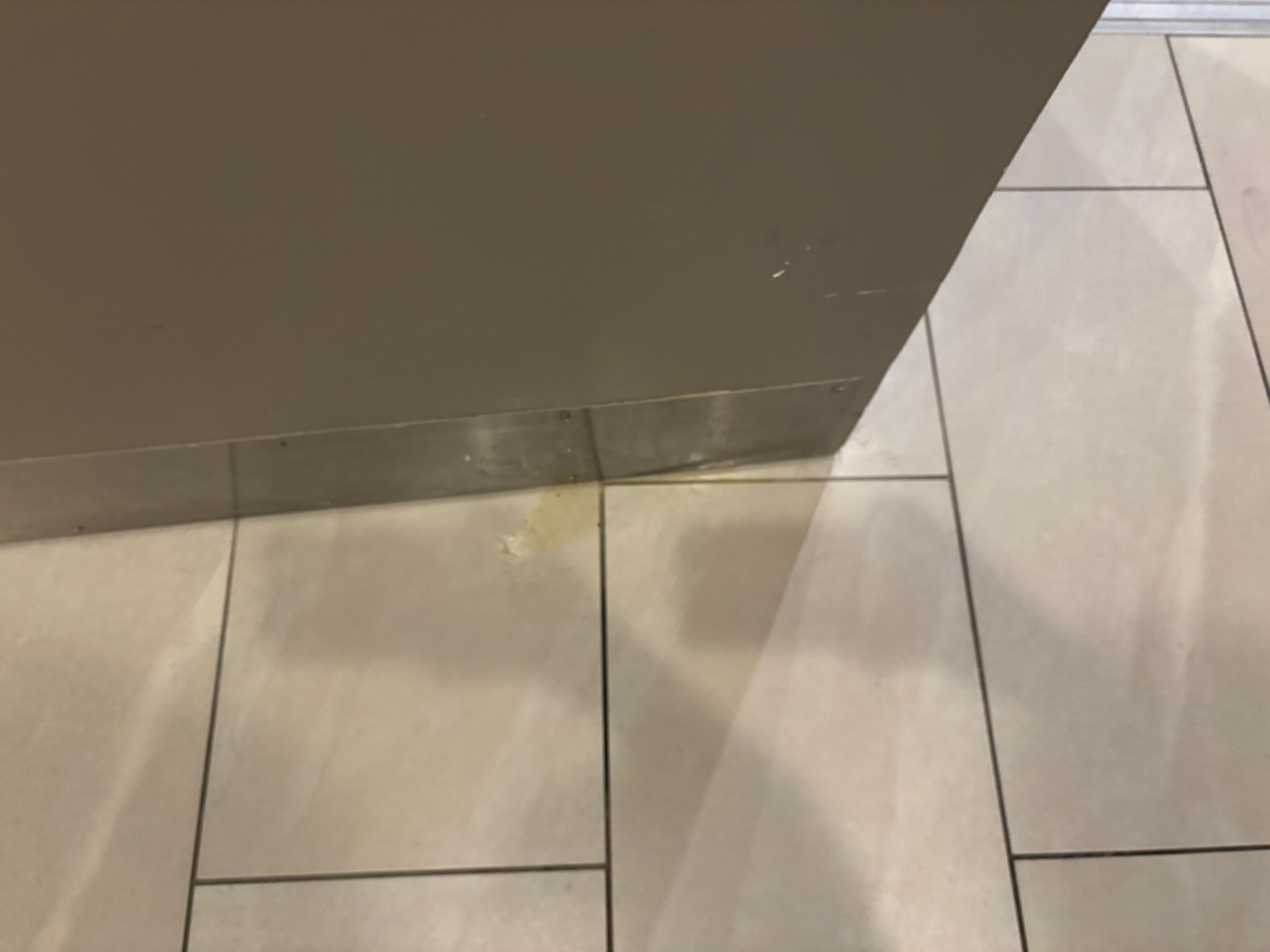 Dog pee