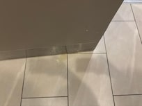 Dog pee