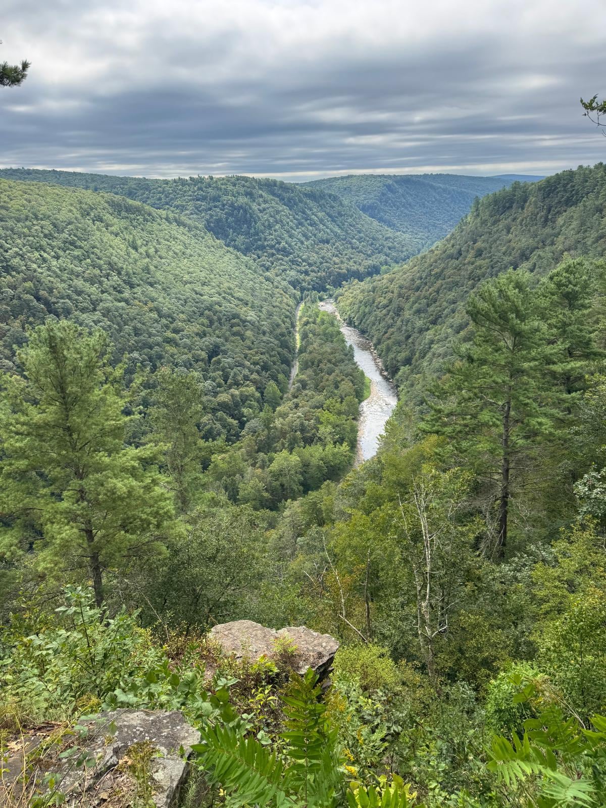 Beautiful Grand Canyon of PA