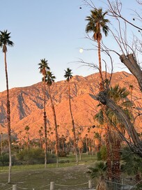 View from the the living room balcony.