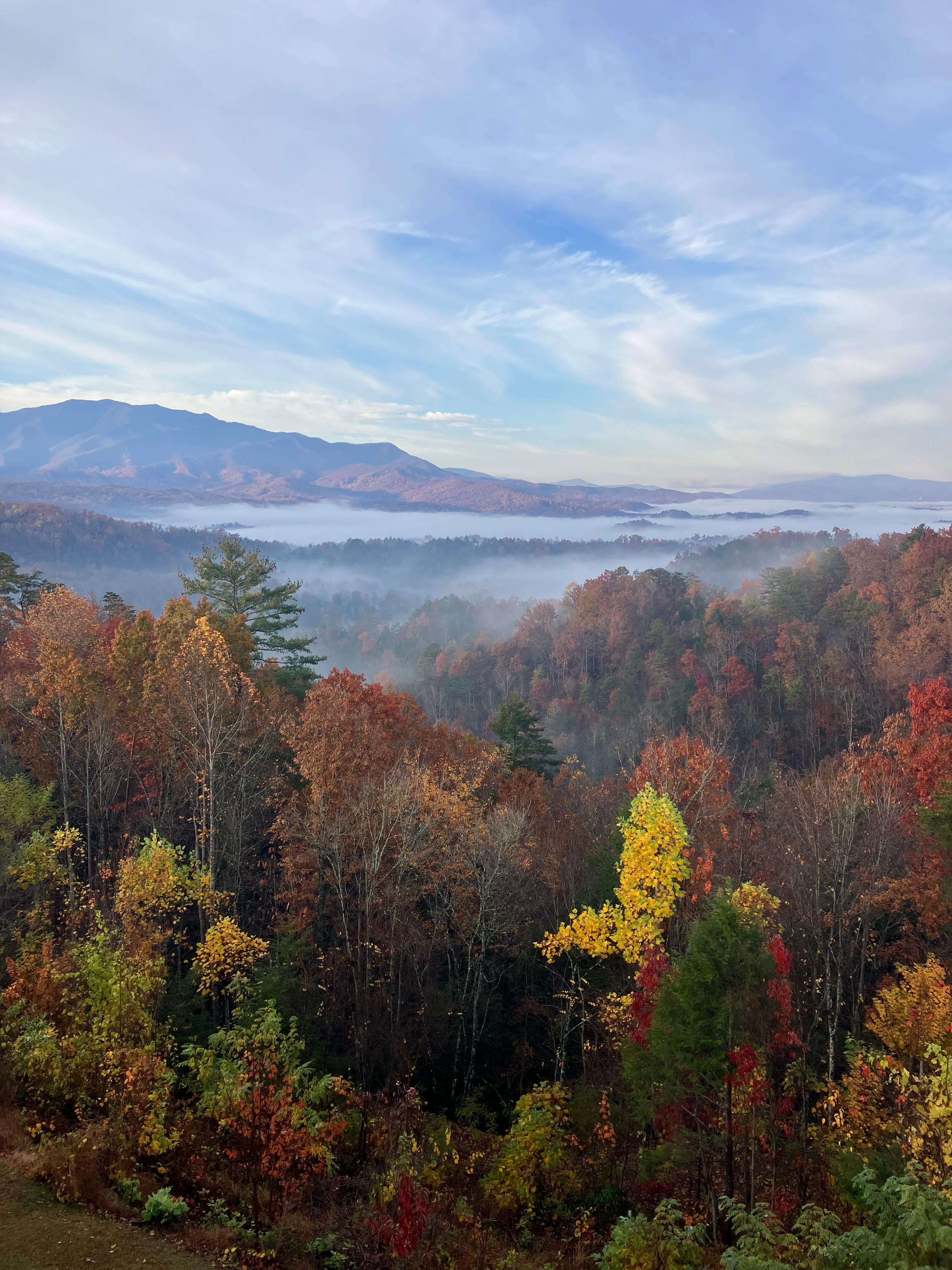 A view off the deck!