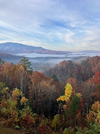 A view off the deck!