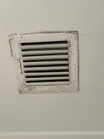 Moldy bathroom vent