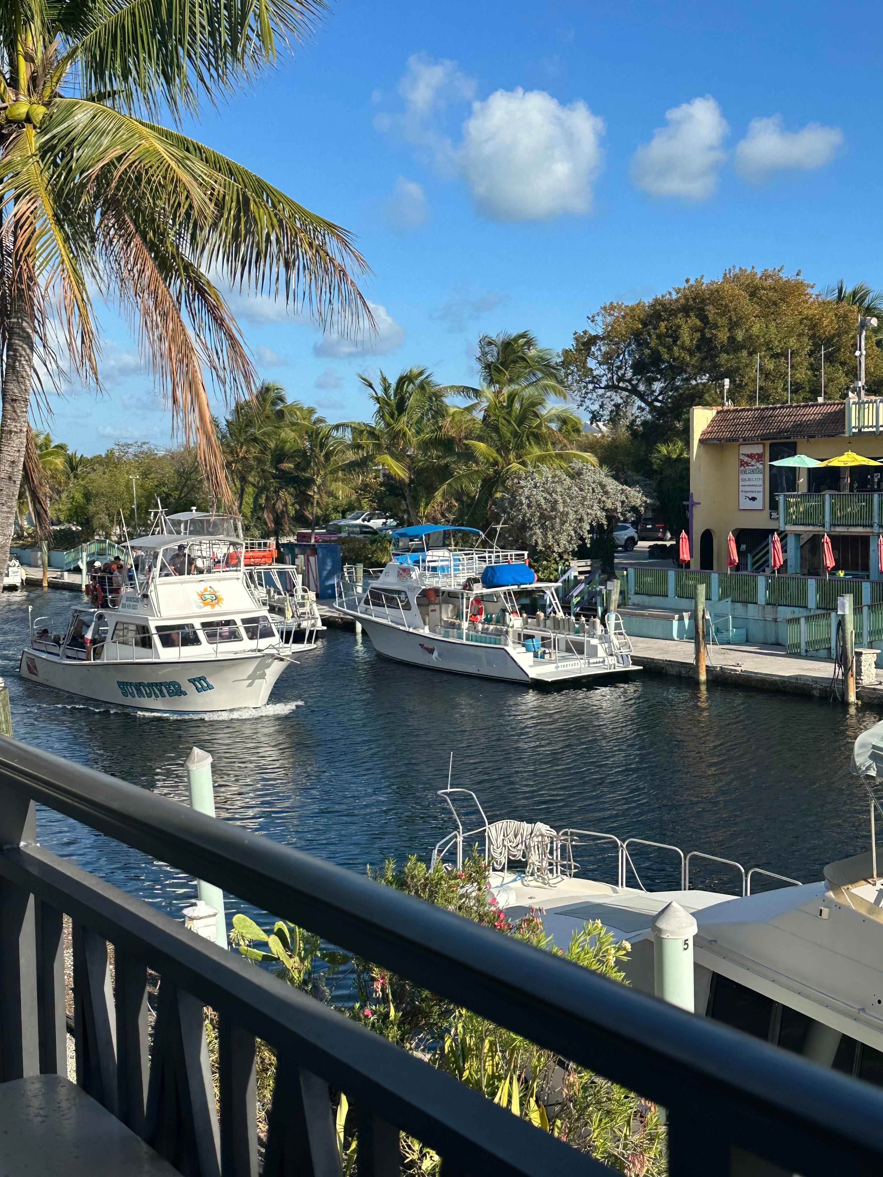 View from the balcony.