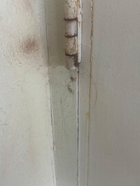 Hair stuck in the door hinge
