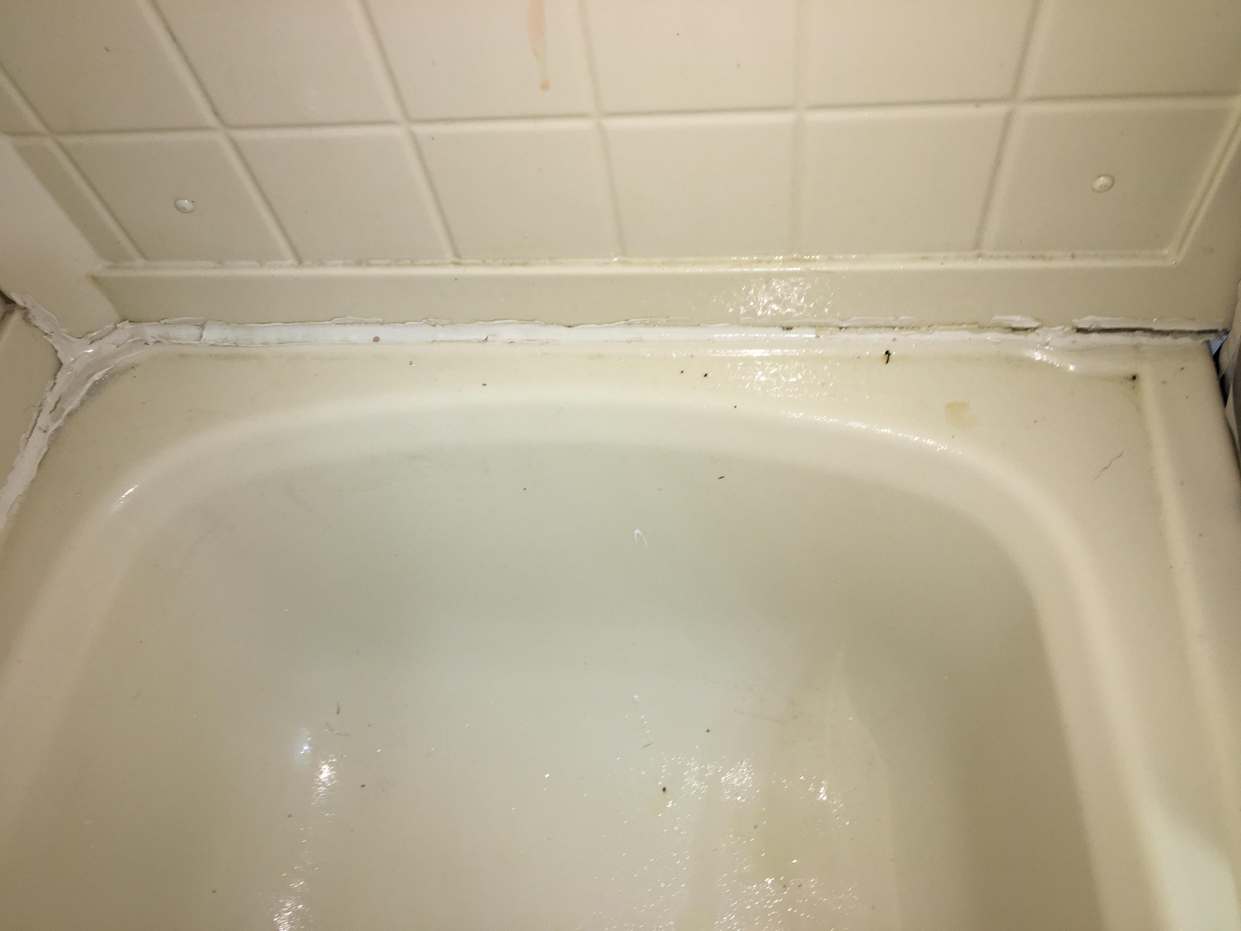 The bathtub I had to clean before we could use!