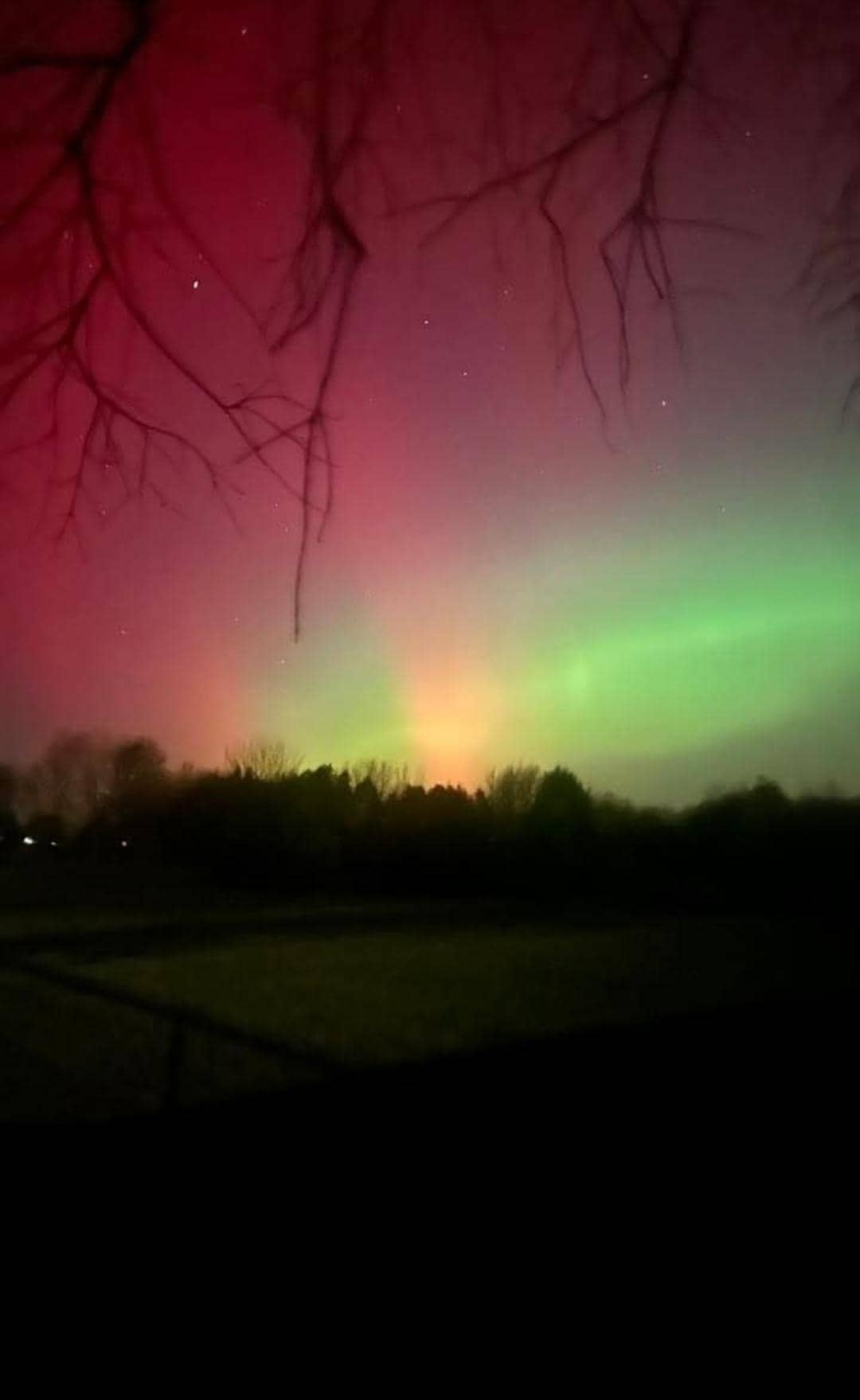 Northern lights every night 