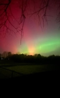 Northern lights every night