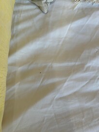 Management calls me and say the owners offered another $100 only if I agreed no to leave a bad review I was told it would be recorded to ensure I didn’t leave a bad review