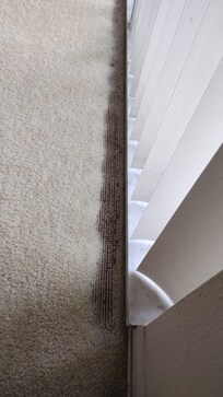 Worn off carpet