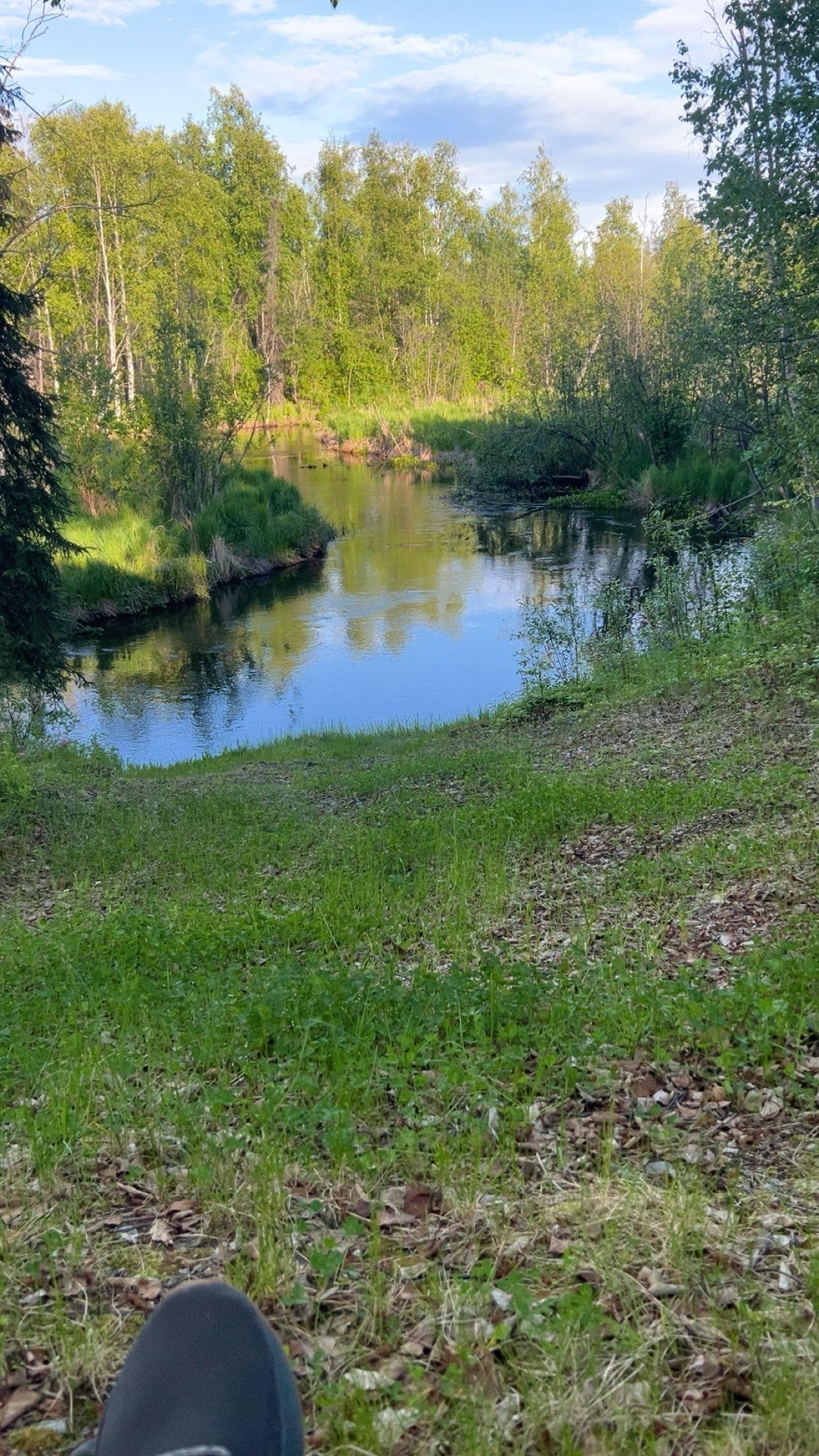 View from the back steps. 